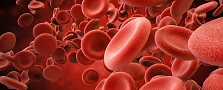 фибриноген в крови